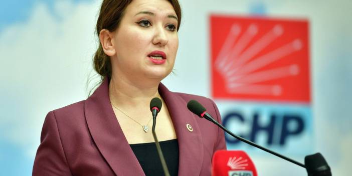 CHP'li Gökçen: Özel CHP'nin seçilmiş ve birinci yapmış Genel Başkanı'dır